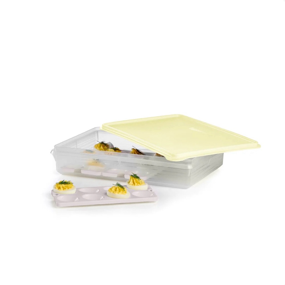 Tupperware Snack-Stor Large Container with Egg Inserts